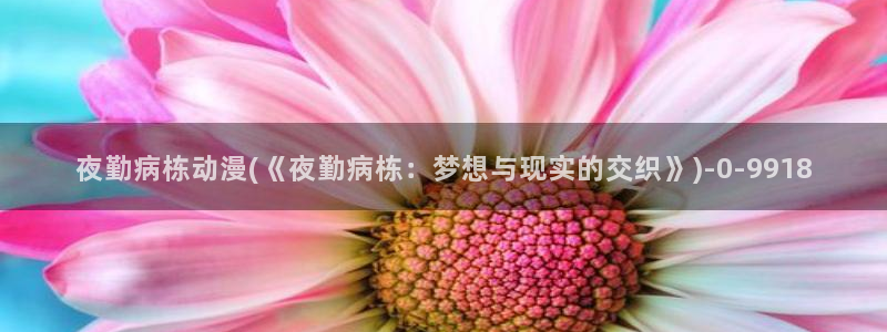 动漫资源:夜勤病栋动漫(《夜勤病栋:梦想与现实的交织》)
